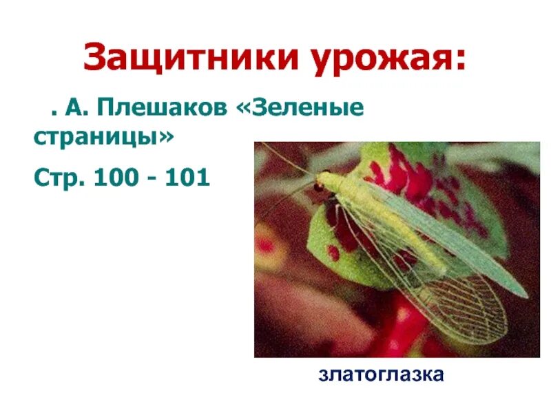 Незаметные защитники урожая. Защитники урожая. проект незаметные защитники урожая. незаметные защитники урожая 4 класс презентация.