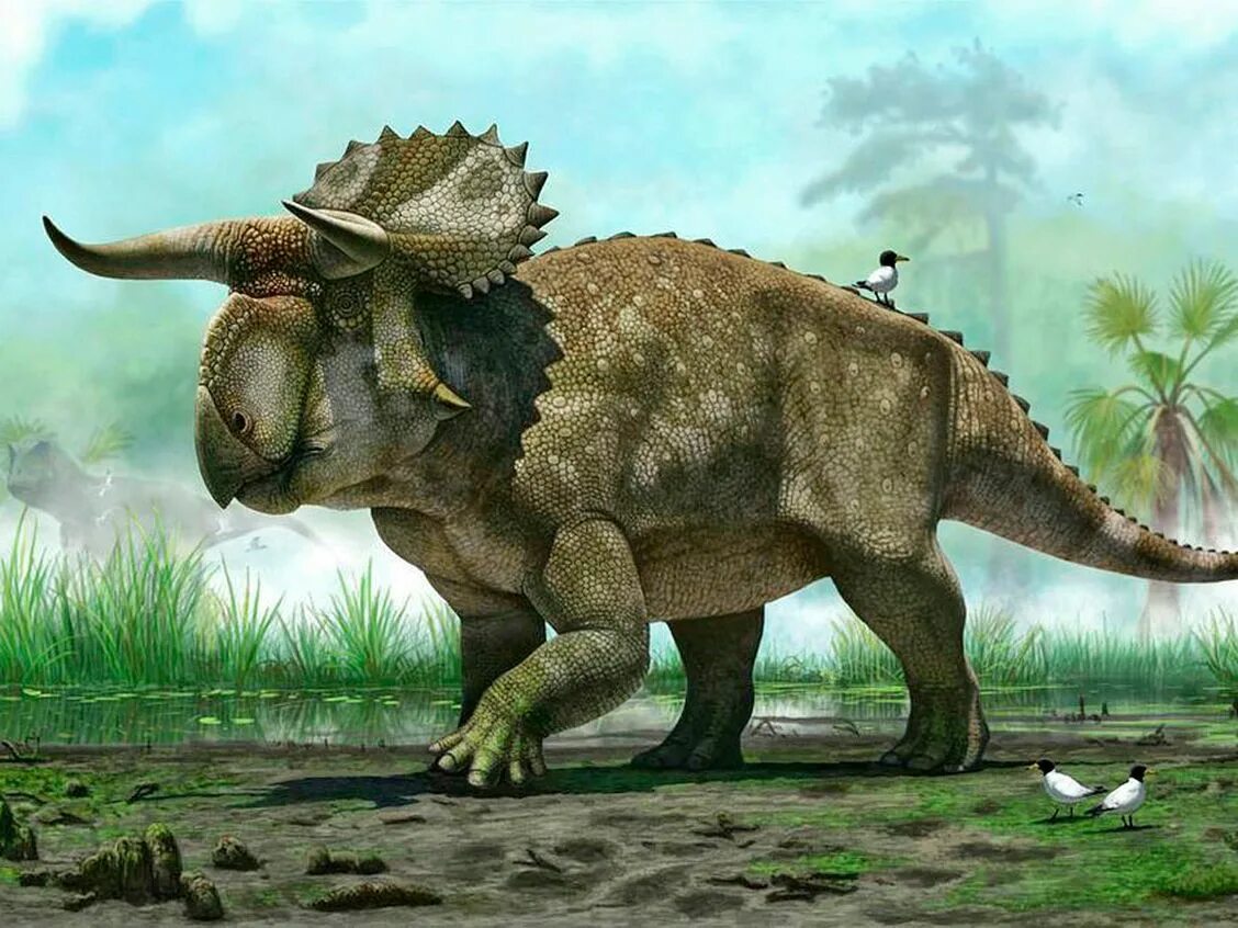 Диностер про динозавров. Атучин палеоарт. Трицератопс Атучин. Травоядные динозавры Трицератопс.