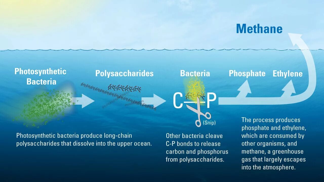 Is a source of new. Methane gas. methane sources. methane gas generation. atmospheric methane.