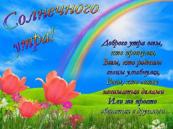 Мирного неба над головой. С добрым утром мирного неба. Доброе утро с аистами. Пожелание доброго утра мирного неба. Пожелание доброго утра мирного неба.