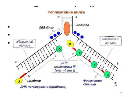 Репликативная вилка