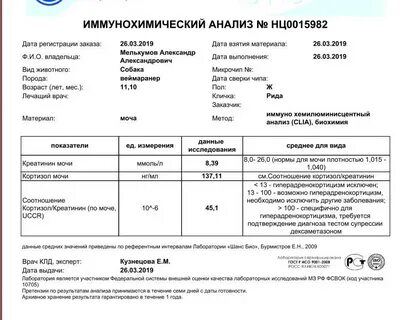 Кортизол креатинин в моче у собаки