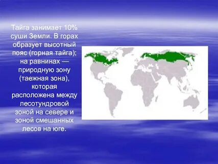 Тема тайги
