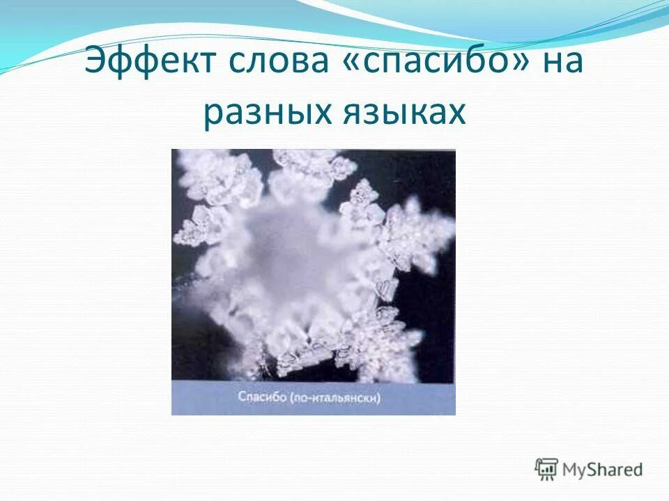 Эффект слово. Разные эффекты слова. Спасибо по разному. Эффект от слова. Презентация на тему ч