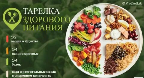 Гарвардская тарелка здорового питания меню