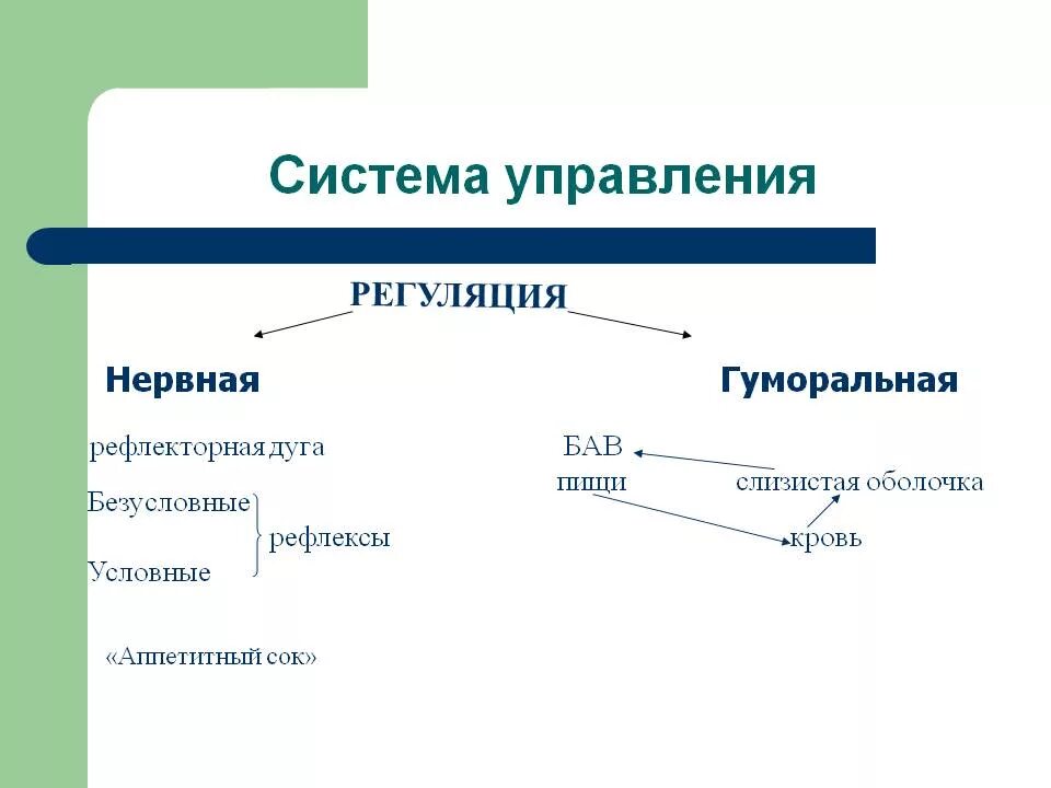 Гуморальная регуляция пищеварения схема. Нервная регуляция пищеварения схема. Нервная и гуморальная регуляция пищеварения. Регуляция пищеварения 8 класс биология. Условно и безусловно рефлекторная регуляция