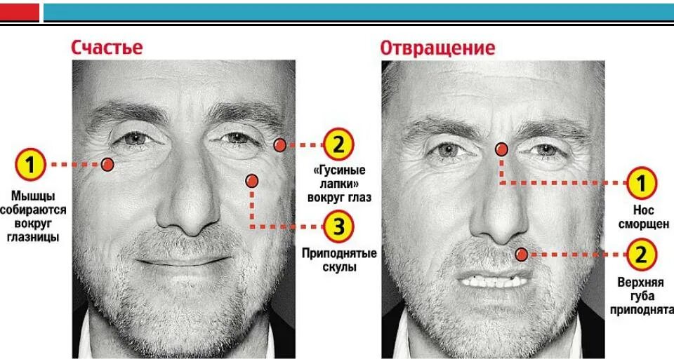 Правда лжеца. Распознавание лжи по мимике и жестам. Как определить ложь по мимике. Эмоции человека по мимике. Ложь по мимике и жестам.