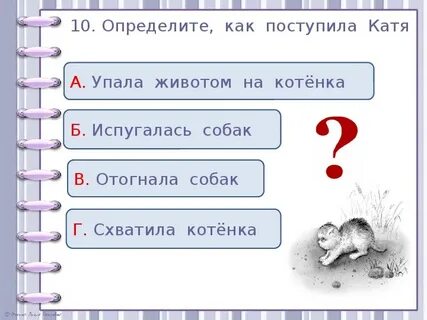 План к рассказу котенок