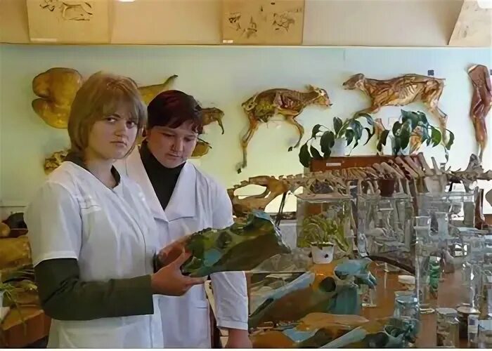 Нарьян марский техникум зооветеринарный. Аграрный ветеринарный колледж. Аграрный колледж апастово. Дуванский многопрофильный колледж. Дуванский аграрный техникум.