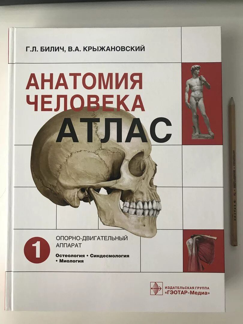 Анатомия человека атлас л. Билич. Атлас анатомии Билич Крыжановский. Анатомия человека атлас том 1 Крыжановский. Атлас анатомия Билич Крыжановский 1 том. Анатомия человека пособия