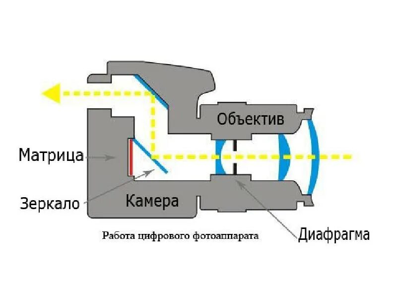 Принцип работы камеры схемы. Из чего состоит цифровой фотоаппарат. Из чего состоит цифровой фотоаппарат. Зеркальная камера в разрезе. Принцип работы цифровой камеры схема.