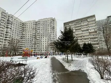 Новая 17 б