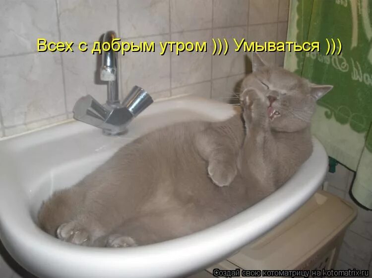 Да захлебнётся кровью тот кто усомнится в нашем миролюбии. Ничего не бойся утром кровью своей умойся. Цитаты про страх. Демотиваторы про мотоциклы. Статусы про беду.