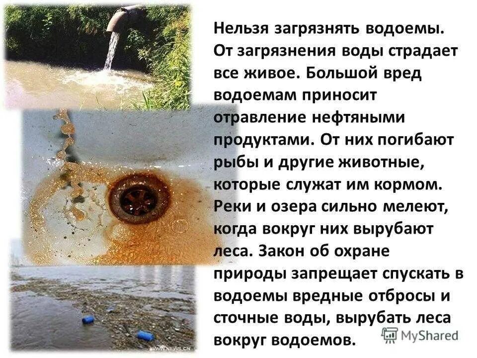 Правила загрязнения воды. Загрязнение воды презентация. Презентация на тему загрязнение воды. Болезни от загрязнения воды. Нельзя загрязнять водоемы.