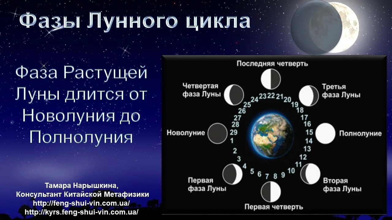 Фазы луны могилев. Цикл лунных фаз. фаза растущей луны. луна циклы фазы. растущая луна 1 фаза.