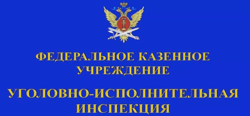 Уголовно исполнительные инспекции сайт. Герб уголовно-исполнительных инспекций УФСИН России. Работников уголовно-исполнительных инспекций ФСИН РФ. Эмблема УИИ УФСИН. Табличка ФСИН.