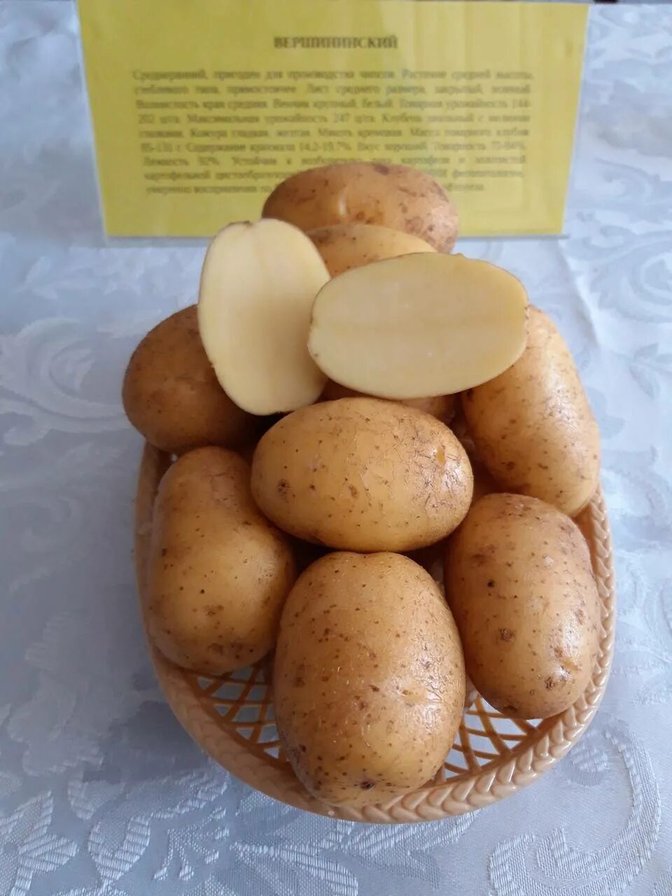 Картофель фаворит описание сорта фото отзывы. Семенной картофель сорт элита. Картофель семенной Гулливер. Семена картофеля элита и суперэлита что это такое.