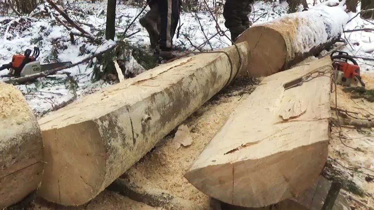 Распиловка бревен бензопилой. Бензопила на бревне. Бревно разрезанное вдоль. Бревно распиленное вдоль. Разрезанное бревно.