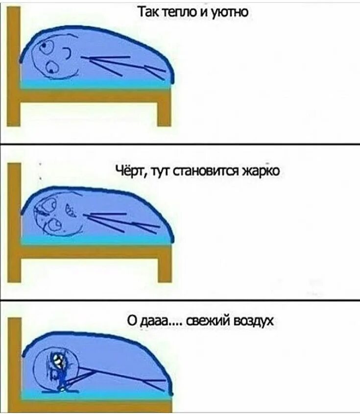 Остроумные иллюстрации. Котик вылезай из под одеяла. Пусти под одеяло. Под одеялом тепленько. Холодно даже под одеялом.