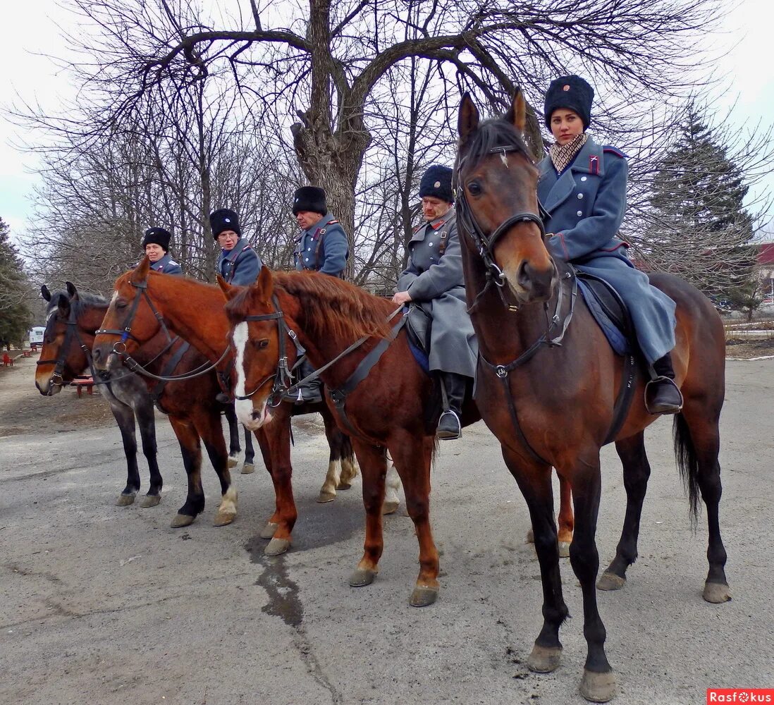 казаки войска донского. конный взвод. всевеликое войско донское. конный взвод. конная гвардия ташкента.