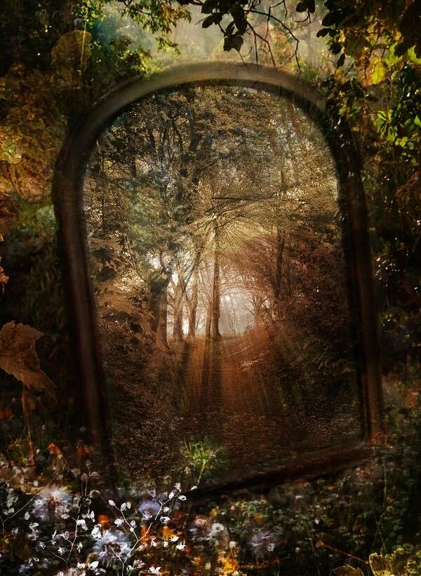 Зеркало в лесу. Таинственное зеркало. Красивое сказочное зеркало. Волшебное зеркало.