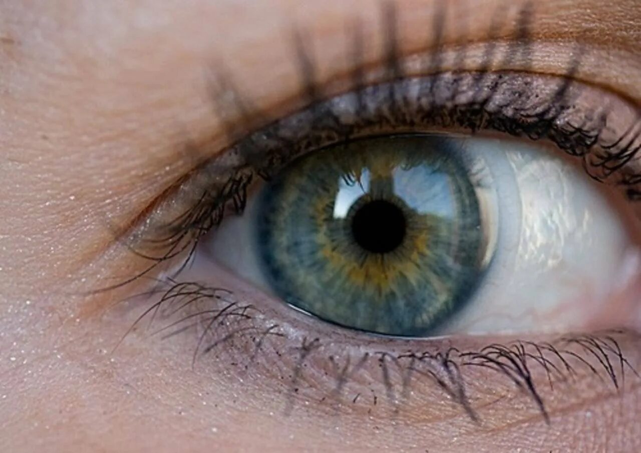 Зелено голубо желтые глаза. Хейзел цвет глаз. Гетерохромия радужной оболочки. Зелёный Хазел цвет глаз. Hazel Green цвет глаз.