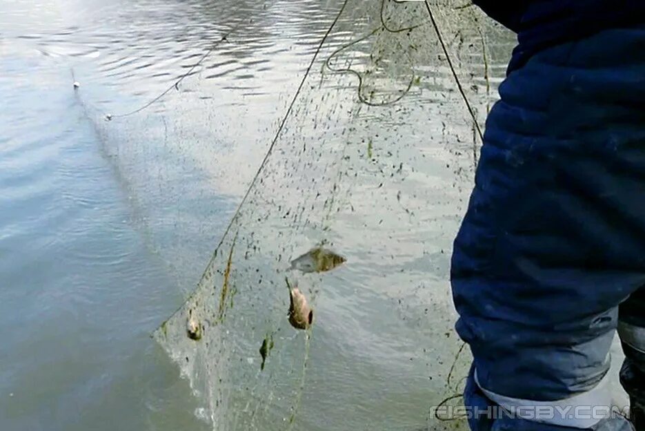 Рыбалка сетью на реке. Браконьерские снасти. Браконьерские снасти для ловли рыбы. Сеть рек. Сеть на речке.