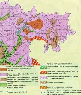 Дерново подзолистые почвы карта