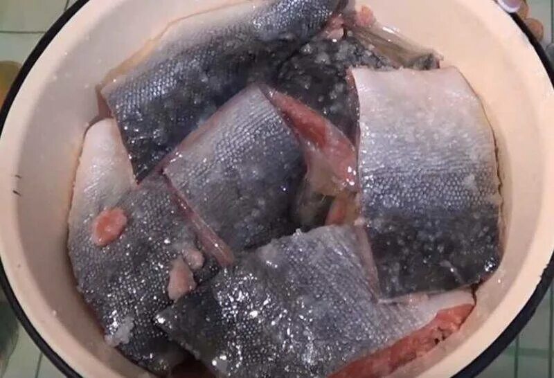 Рецепт посола горбуши. Горбуша домашнего посола. Горбуша в рассоле. Сколько соли и сахара на горбушу. Засолка красной рыбы в домашних.