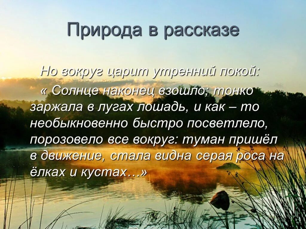 Отрывок из тихое утро. Описание природы. Красивые описания природы. Рассказы о природе. Рассказ тихое утро.