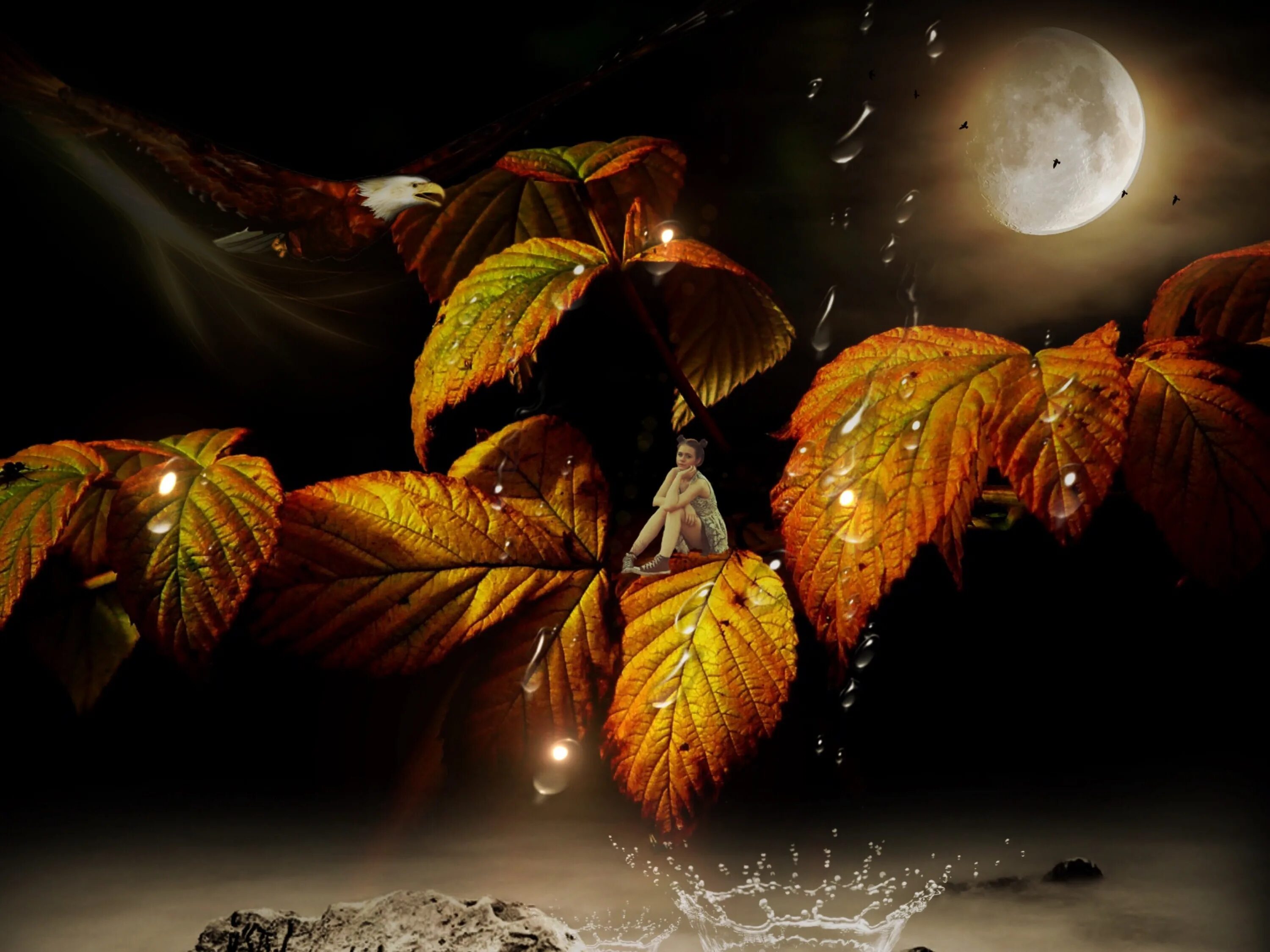 Ночью по листьям стучал беспрерывно. Осенняя ночь. Осень ночь. Красивая осенняя ночь. Осенние листья ночью.