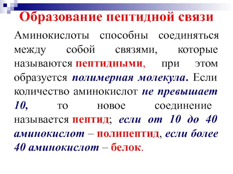 В образование участвуют пептидные связи. Образование пептидной связи между аминокислотами. Механизм образования пептидной связи. Аминокислоты образование пептидной связи. Пептидная связь между аминокислотами.