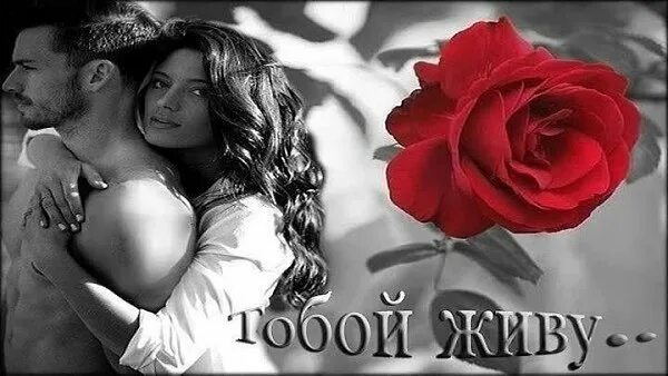 Любимый дорогой единственный. Песня ты единственный мой самый дорогой. Ты мой единственный мужчина. Дорогому мужу стих. Самой желанной и любимой.