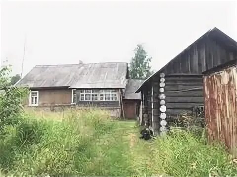 Погода осеченка тверская область. Осеченка вышний волочек. осеченка тверская область. недвижимость в вышнем волочке..