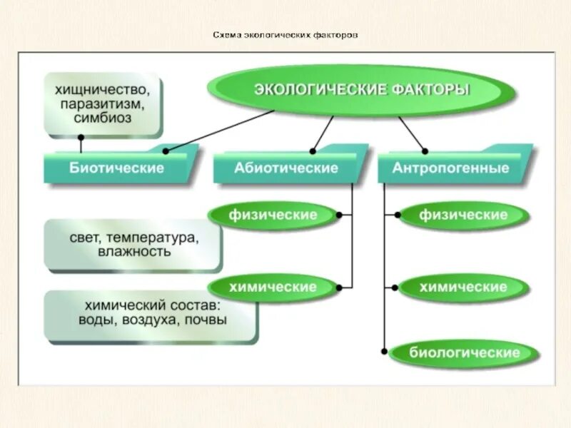 Какие 3 группы экологических факторов. Схема экологические факторы среды. Схема экологические факторы с примерами. Экологические факторы схема 11 класс. Схема экологические факторы 7 класс.