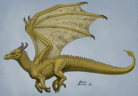 Dragon side