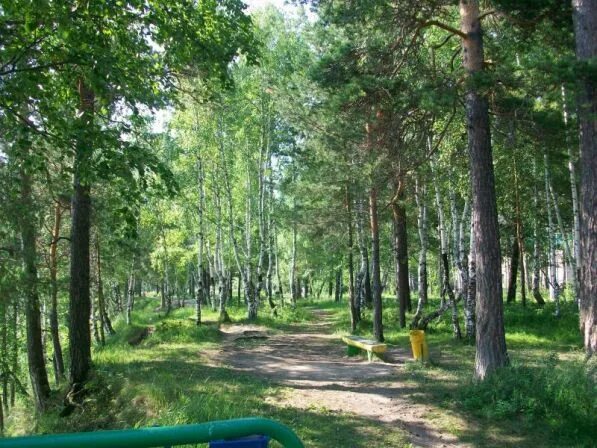 Зеленая роща сниму. Парк в лесосибирске. кедровый парк лесосибирск. лесосибирск лес. лесосибирск зеленая роща.