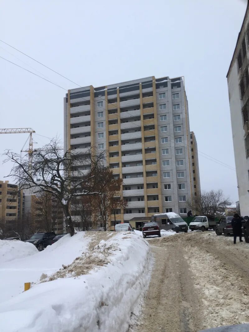 диктора левитана 46 владимир. диктора левитана 38а. диктора левитана квартира 44. улица диктора левитана 44. диктора левитана 44.