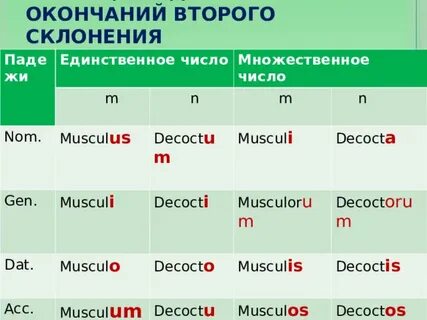 Вопросы 3 склонения существительных