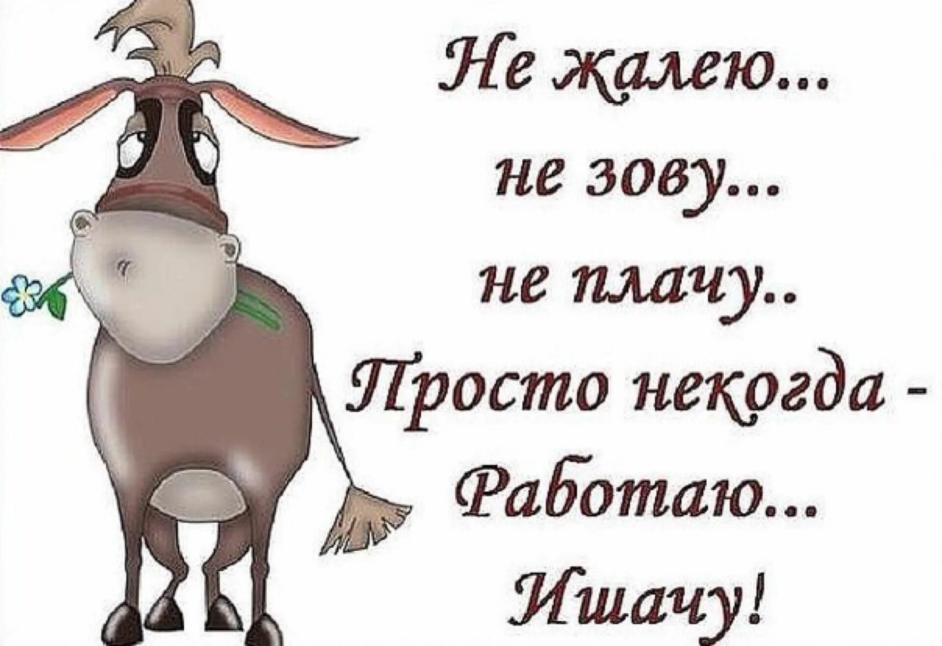 Не жалейте не зовите