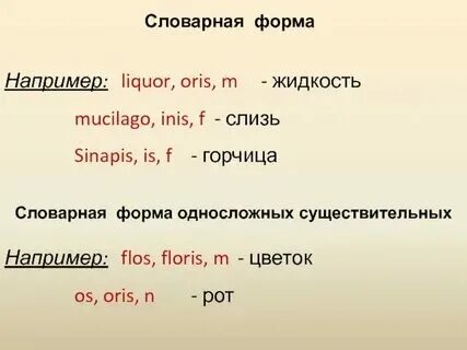 Правильная словарная форма существительного