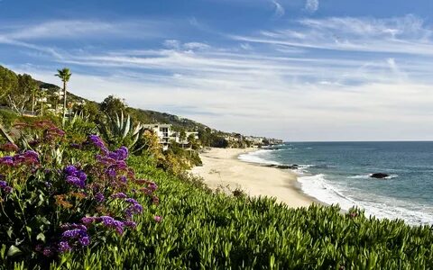 Laguna beach отзывы