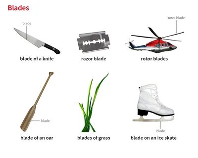 blade noun - Definition, pictures, pronunciation and usage notes.