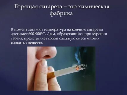 Температура табака