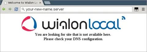 Wialon local