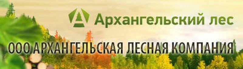 Деревья архангельской. Проверенный поставщик. Сертификат одноклассники. Архангельская лесная компания. Архангельский лес пенза перспективная улица.