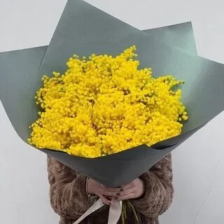 Как упаковать мимозу