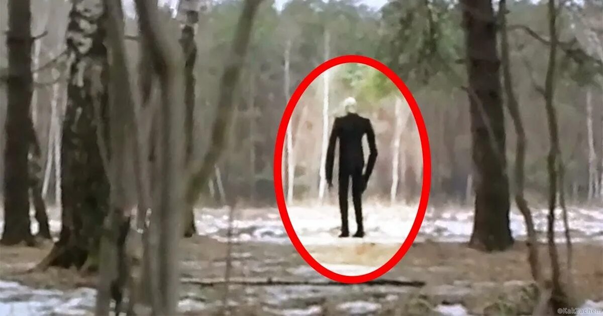 Криптозоология лохнесское чудовище. Монстры в реялном жизни. Какие монстры существуют в реальной жизни. Эль чупакабра козий вампир. Монстры в рялное жизни.