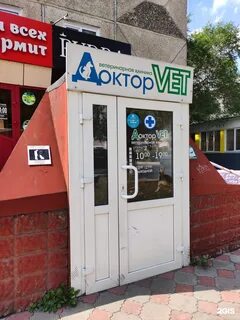 Смарт вет отзывы