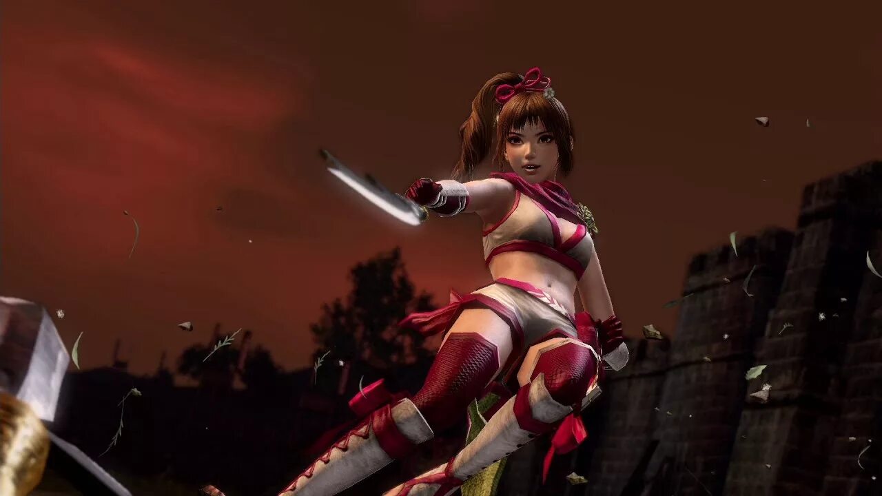 Куноичи 3д. Samurai warriors куноичи. warriors orochi куноичи. samurai warriors 4 kunoichi. kunoichi 4.